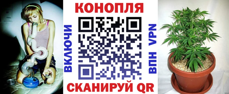 Купить закладку ГАШИШ  Бошки Шишки  КОКАИН  Меф  Сосновоборск