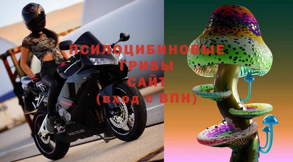 дурь Семёнов