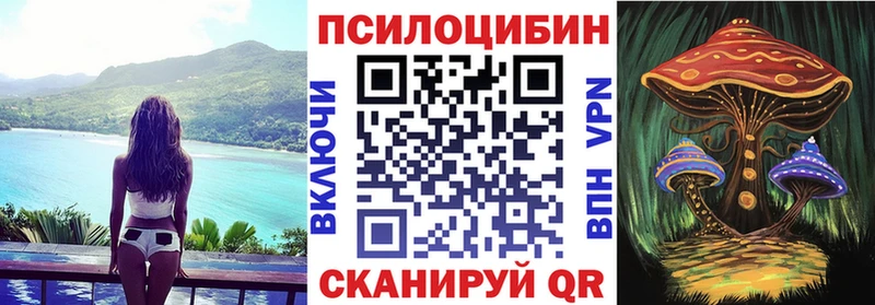 Галлюциногенные грибы мицелий  Купить где  Сосновоборск 